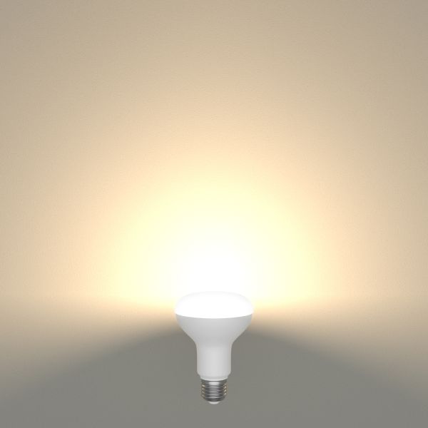 E27 LED Leuchtmittel, R80, 10 W, matt (Lichtfarbe wählbar) Angebote