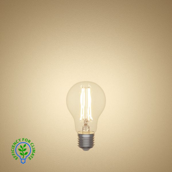 E27 LED Leuchtmittel, A60, Energieeffizienzklasse A (Lichtfarbe wählbar) Fabrik Onlineshop
