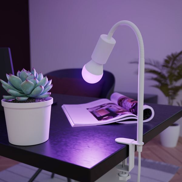 E27 LED RGB Leuchtmittel, A60, warmweiß - kaltweiß (3000 - 6500 K), 9,4 W, 892lm, Smart Home, WLAN, Alexa, matt Tägliche Deals