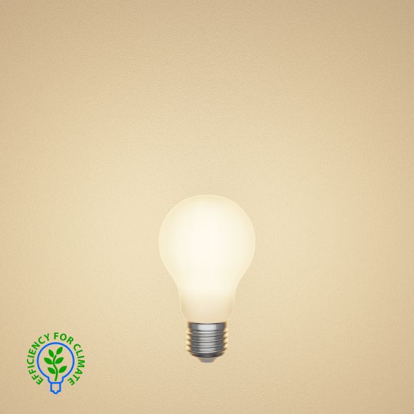 E27 LED Leuchtmittel, A60, Energieeffizienzklasse A, gefrostet (Lichtfarbe wählbar) Tiefpreis