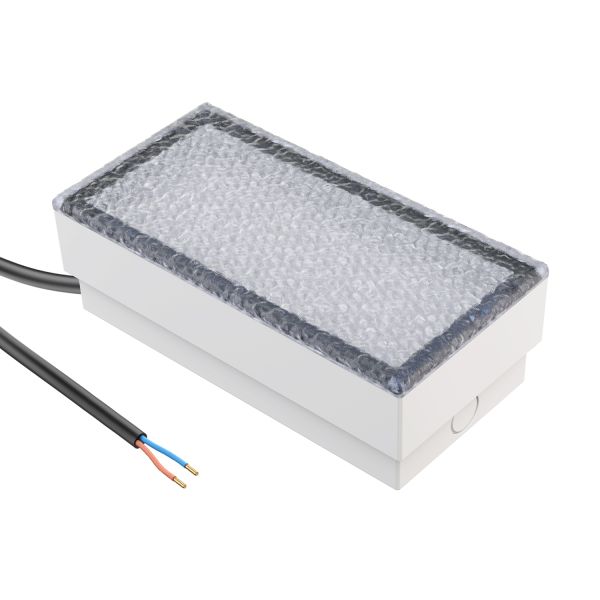 LED Pflasterstein Bodeneinbauleuchte CUS für außen, IP67, eckig, 20 x 10cm, (Set, Lichtfarbe wählbar) Kostenloser Versand