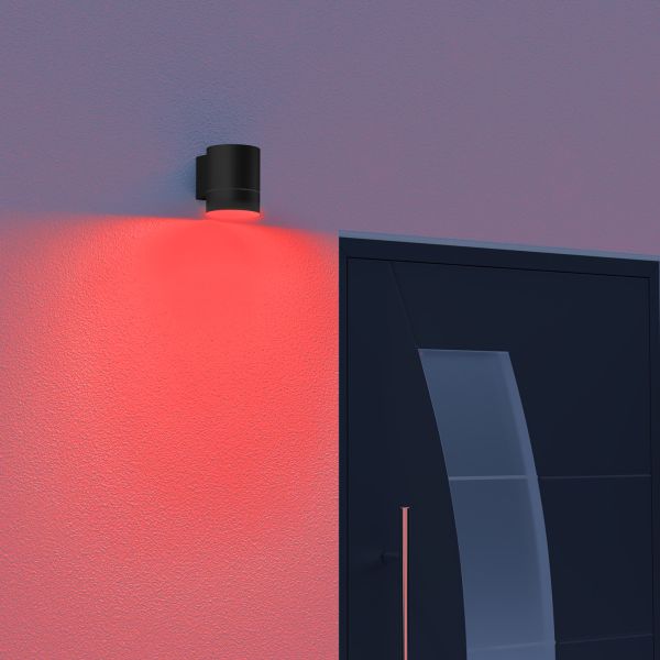 Smart Home Wandleuchte BIDO für außen, Aluminium Downlight + LED-Lampe Alexa, dimmbar, Farbtemperatur steuerbar (Farbe, Leuchtmittel wählbar) Kostenlose Rückgabe