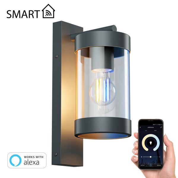 Wandleuchte LAIFA, anthrazit matt, rund, inkl. Smart Home LED Lampe (Leuchtmittel wählbar) Riesige Rabatte