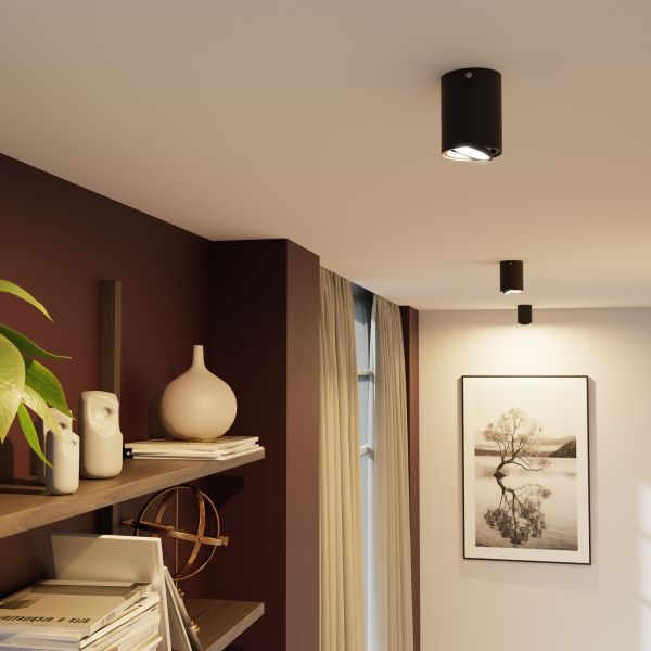 Deckenleuchte DEJO, 80mm Ø + GU10 Smart Home RGBW LED 473lm (Farbe wählbar) Fabrikverkauf