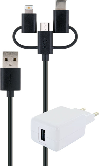 Schwaiger Lade-Set mit Ladegerät + Multi-Ladekabel