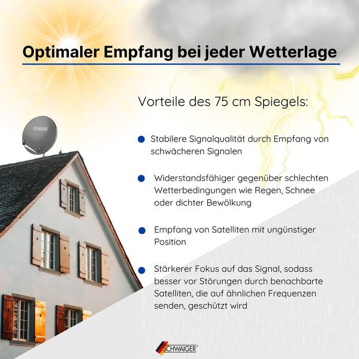 Schwaiger Satellitenanlage Set Anthrazit Stahl 75 cm Schlussverkauf