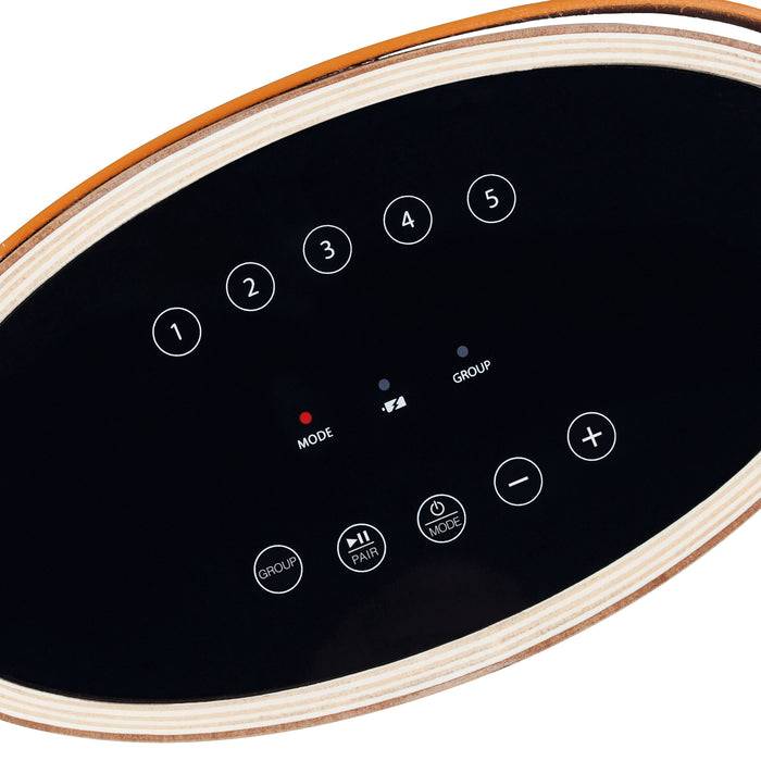 Schwaiger TIBO WiFi Lautsprecher (30 W) Riesige Rabatte