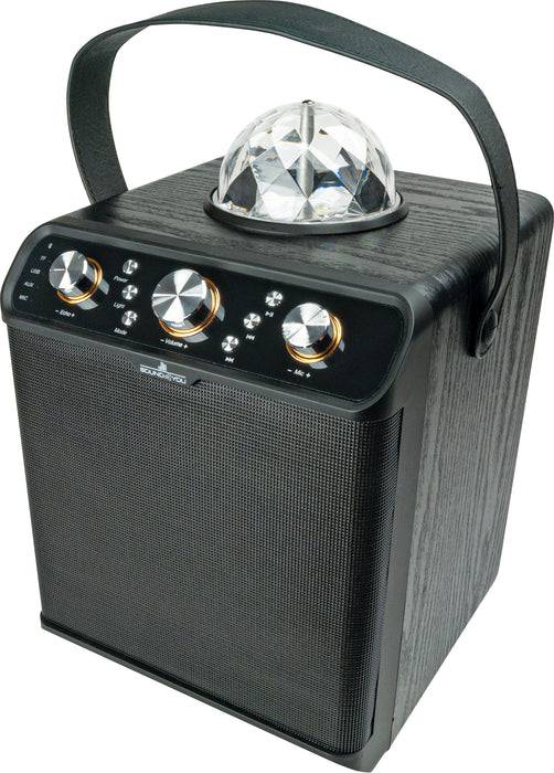 Schwaiger Bluetooth® Party Lautsprecher (30W) Blitzverkäufe