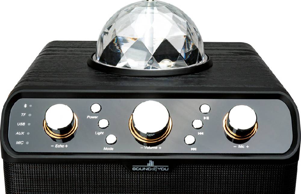 Schwaiger Bluetooth® Party Lautsprecher (30W) Blitzverkäufe