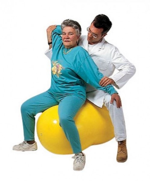 Stock Fachmann GYMNIC Physio-Roll Gymnastikball