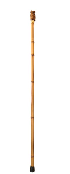 Stock Fachmann Flanierstock King Auslauf
