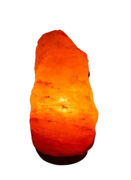 Stock Fachmann Salzlampe Rock Jubiläumsangebot