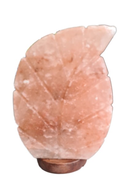 Stock Fachmann Salzlampe Blatt
