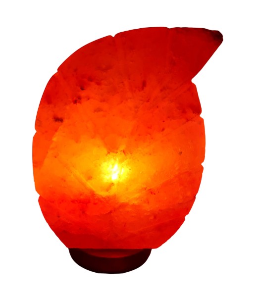 Stock Fachmann Salzlampe Blatt Neuheiten