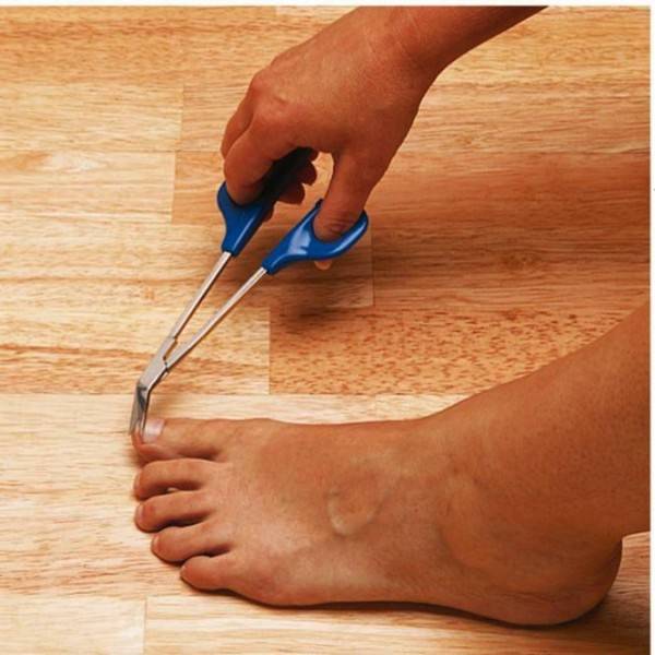 Stock Fachmann Zehnagelschere Angebote