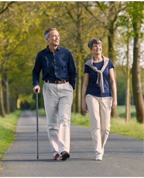 Stock Fachmann Faltstock anatomischer Griff Comfort Großer Ausverkauf