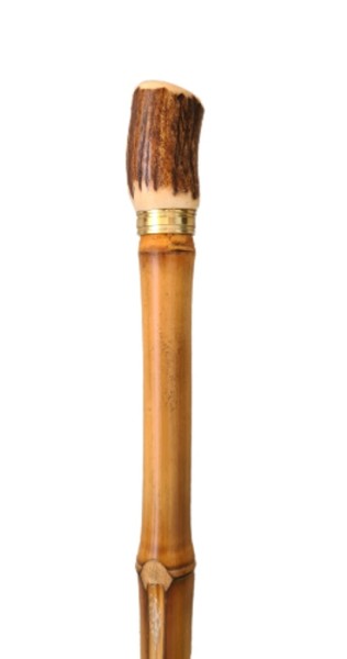 Stock Fachmann Flanierstock Horn Neuheiten